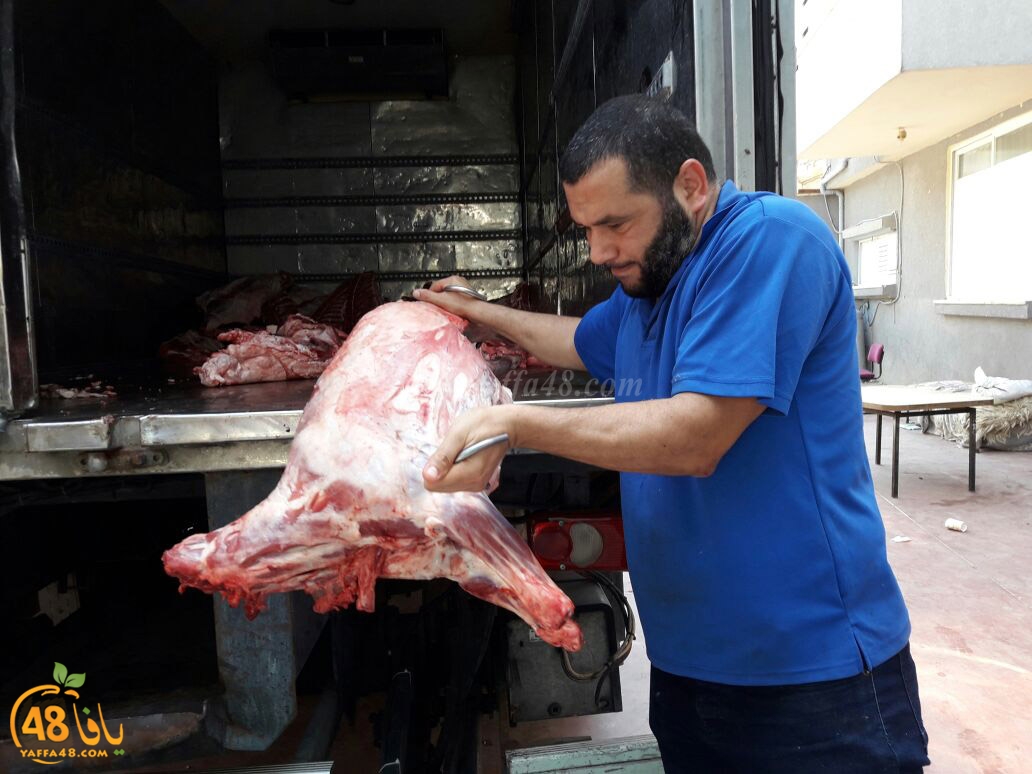 lod8om ada73y (67).jpg